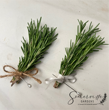 Load image into Gallery viewer, Fresh Rosemary Boutonnière | Wedding, Groom, Groom's Men, Best Man