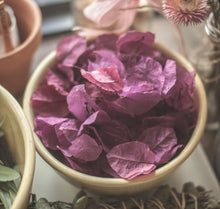 Load image into Gallery viewer, Bulk FUCHSIA Dried Bougainvillea Petals Wedding Confetti | Table Decor Tablescape | Large Bag