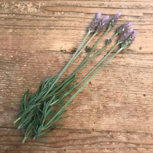 Load image into Gallery viewer, Dried Hand Made Rosemary, Lavender, and White Sage Smudge Stick Wand | New Moon Ceremony, Cleansing 6 - 8 inch