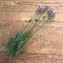 Load image into Gallery viewer, DIY Smudge Making Kit | Rosemary Lavender and Sage Fresh Herbs | Bridal Party | Bridal Shower
