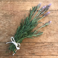 Load image into Gallery viewer, Dried Lavender Six Sprigs 6"-8" | Tablescape, Place Setting