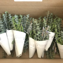 Load image into Gallery viewer, Mini Eucalyptus Bouquet with Lavender or Rosemary | Silver Leaf Mountain Gum Eucalyptus, Aromatherapy, Tablescape, Center Piece