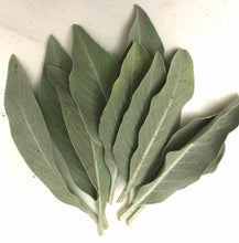 Load image into Gallery viewer, DIY Smudge Making Kit | Rosemary Lavender and Sage Fresh Herbs | Bridal Party | Bridal Shower