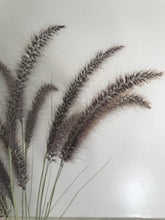 Load image into Gallery viewer, DRIED Purple Fountain Grass | Ornamental Grass Floral Arrangement | Boho Decor Centerpiece, Tablescape