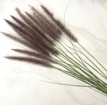 Load image into Gallery viewer, DRIED Purple Fountain Grass | Ornamental Grass Floral Arrangement | Boho Decor Centerpiece, Tablescape