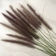 Load image into Gallery viewer, DRIED Purple Fountain Grass | Ornamental Grass Floral Arrangement | Boho Decor Centerpiece, Tablescape