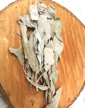 Load image into Gallery viewer, Dried White Sage Leaves | White Sage Clusters, Loose Leaf | Cleansing