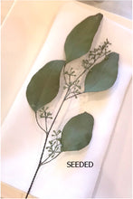 Load image into Gallery viewer, DRIED Eucalyptus Place Setting Sprigs | Silver Dollar, Seeded, Silver Leaf Eucalyptus | Wedding, Bridal, Boho Decor, Tablescape
