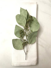 Load image into Gallery viewer, DRIED Eucalyptus Place Setting Sprigs | Silver Dollar, Seeded, Silver Leaf Eucalyptus | Wedding, Bridal, Boho Decor, Tablescape