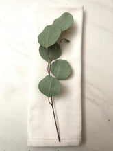 Load image into Gallery viewer, DRIED Eucalyptus Place Setting Sprigs | Silver Dollar, Seeded, Silver Leaf Eucalyptus | Wedding, Bridal, Boho Decor, Tablescape