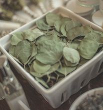 Load image into Gallery viewer, Dried Silver Dollar Eucalyptus Leaves | Wedding Toss, Confetti - Large Bag