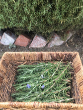 Load image into Gallery viewer, Freshly Hand Made Rosemary Smudge 6 - 8 inch | Rosemary Bunch Six 5" - 6"