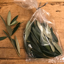 Load image into Gallery viewer, FRESH Olive Leaves | Hand Picked | Wedding Confetti, Olive Leaves Wedding Toss