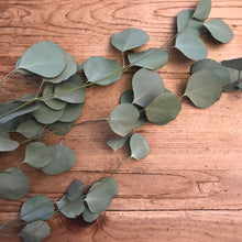 Load image into Gallery viewer, Set of 3 Dried Mini Handmade Eucalyptus Smudge Sticks | New Moon Ceremony Cleansing