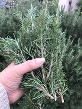 Load image into Gallery viewer, Dried Handmade Rosemary Blush Rose Smudge Wand | Roses, Yarrow, Lavender Leaf, and Rosemary | New Moon Ceremony, Incense, Cleansing, Ritual