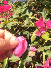 Load image into Gallery viewer, FUCHSIA Dried Bougainvillea Petals Wedding Confetti | Table Decor Tablescape