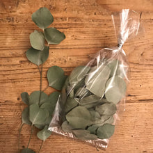 Load image into Gallery viewer, Dried Silver Dollar Eucalyptus Leaves | Wedding Confetti, Wedding Toss, Table Decor, Tablescape - 50 Leaves