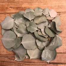 Load image into Gallery viewer, Dried Silver Dollar Eucalyptus Leaves | Wedding Confetti, Wedding Toss, Table Decor, Tablescape - 50 Leaves