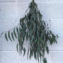 Load image into Gallery viewer, DRIED Eucalyptus Sugar Gum Bouquet | Sugar Gum Eucalyptus Branches | Aromatherapy, Centerpiece Wedding Decor, Tablescape