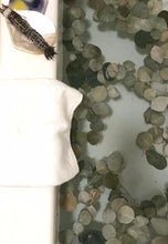 Load image into Gallery viewer, Dried Silver Dollar Eucalyptus Leaves | Wedding Toss, Confetti - Large Bag