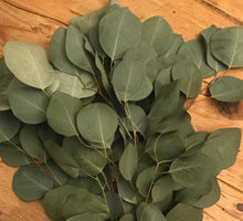 Load image into Gallery viewer, Dried Silver Dollar Eucalyptus Leaves | Wedding Toss, Confetti - Large Bag