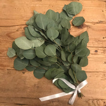 Load image into Gallery viewer, DRIED Eucalyptus Silver Dollar Bouquet | Eucalyptus Branches | Wedding, Bridal, Boho Decor Centerpiece, Tablescape