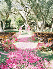 Load image into Gallery viewer, FUCHSIA Dried Bougainvillea Petals Wedding Confetti | Table Decor Tablescape