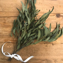 Load image into Gallery viewer, DRIED Eucalyptus Trio Bouquets | Silver Dollar, Sugar Gum, Silver Leaf Branches | Aromatherapy, Centerpiece Wedding Decor, Tablescape