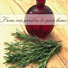 Load image into Gallery viewer, Fresh Rosemary Sprigs | Rosemary Bunch Six 5" - 6" , Tablescape, Placesetting