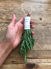 Load image into Gallery viewer, Fresh Rosemary Kitchen Herb Bundle | Tablescape, Table Decor 6" - 8"