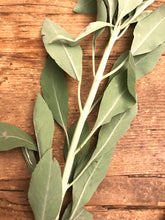 Load image into Gallery viewer, White Sage and Roses Smudge Wand | New Moon Ceremony, Cleansing