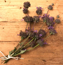Load image into Gallery viewer, Dried Cleveland Sage Sprigs| Aromatherapy, Six Sprigs 8"-10"