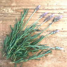 Load image into Gallery viewer, Assorted SAGE Smudge Kit Bundle Somerville Gardens