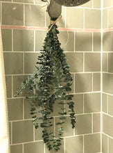 Load image into Gallery viewer, DRIED Quatre Eucalyptus Bouquets | Silver Dollar, Seeded, Sugar Gum, Silver Leaf Branches | Aromatherapy, Centerpiece Wedding, Tablescape