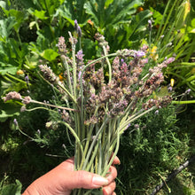 Load image into Gallery viewer, Dried Hand Made Rosemary, Lavender, and Eucalyptus Smudge Stick Wand | New Moon, Self Care