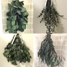 Load image into Gallery viewer, DRIED Quatre Eucalyptus Bouquets | Silver Dollar, Seeded, Sugar Gum, Silver Leaf Branches | Aromatherapy, Centerpiece Wedding, Tablescape