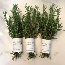 Load image into Gallery viewer, Fresh Rosemary Sprigs | Rosemary Bunch Six 5" - 6" , Tablescape, Placesetting