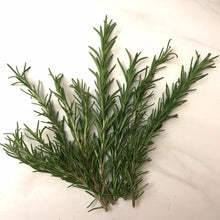 Load image into Gallery viewer, Fresh Rosemary Sprigs | Rosemary Bunch Six 5" - 6" , Tablescape, Placesetting