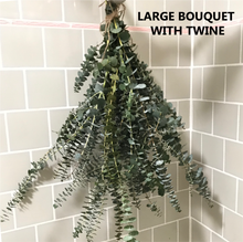 Load image into Gallery viewer, FRESH Eucalyptus Bouquet | Silver Leaf Mountain Gum Eucalyptus Branches | Aromatherapy, Tablescape, Self Care