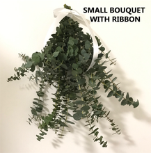 Load image into Gallery viewer, FRESH Eucalyptus Bouquet | Silver Leaf Mountain Gum Eucalyptus Branches | Aromatherapy, Tablescape, Self Care