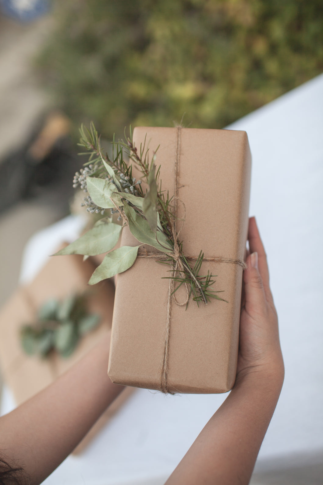 DRIED Eucalyptus & Evergreen Gift Wrap Sprigs | Evergreen Silver Dollar, Seeded, Silver Leaf Eucalyptus Baby's Breath | Christmas Gift Wrap