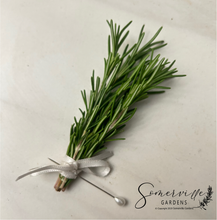 Load image into Gallery viewer, Fresh Rosemary Boutonnière | Wedding, Groom, Groom&#39;s Men, Best Man
