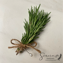 Load image into Gallery viewer, Fresh Rosemary Boutonnière | Wedding, Groom, Groom&#39;s Men, Best Man
