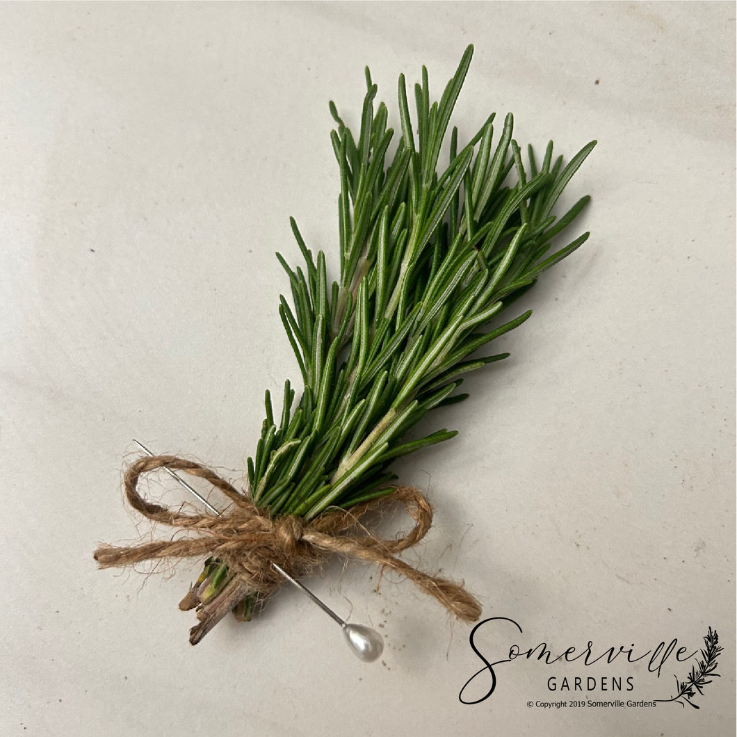 Fresh Rosemary Boutonnière | Wedding, Groom, Groom's Men, Best Man