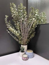 Load image into Gallery viewer, Eucalyptus + Lavender Shower Bunch| Eucalyptus Bouquet | Aromatherapy, Tablescape
