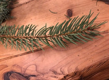 Load image into Gallery viewer, Dried Hand Made Evergreen Smudge | Aromatherapy Pine Needles 6 inch
