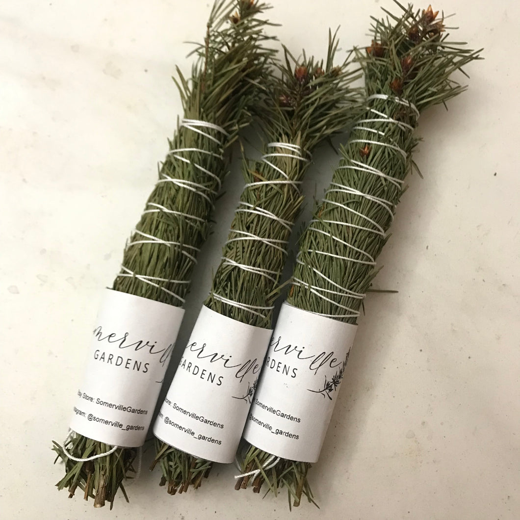 Dried Hand Made Evergreen Smudge | Aromatherapy Pine Needles 6 inch