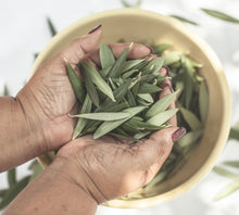 Load image into Gallery viewer, FRESH Olive Leaves | Hand Picked | Wedding Confetti, Olive Leaves Wedding Toss
