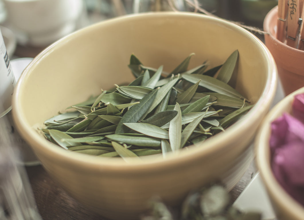 FRESH Olive Leaves | Hand Picked | Wedding Confetti, Olive Leaves Wedding Toss