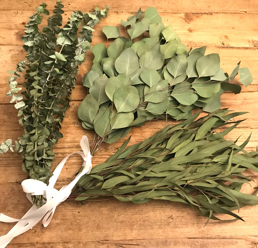 DRIED Eucalyptus Trio Bouquets | Silver Dollar, Sugar Gum, Silver Leaf Branches | Aromatherapy, Centerpiece Wedding Decor, Tablescape